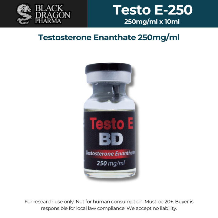 BD Testo E-250